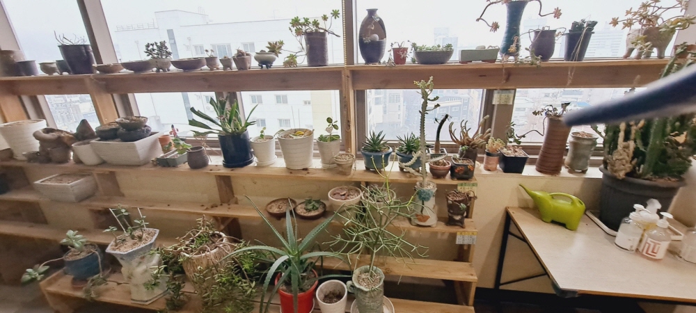 3695294320_fSJ0hEHr_d052716a6733a5e94014ca9035e28ee8ef57624e.jpg 이미지크게보기